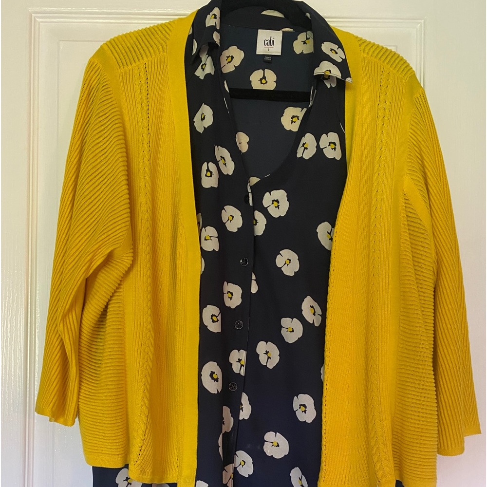 Cabi blouse